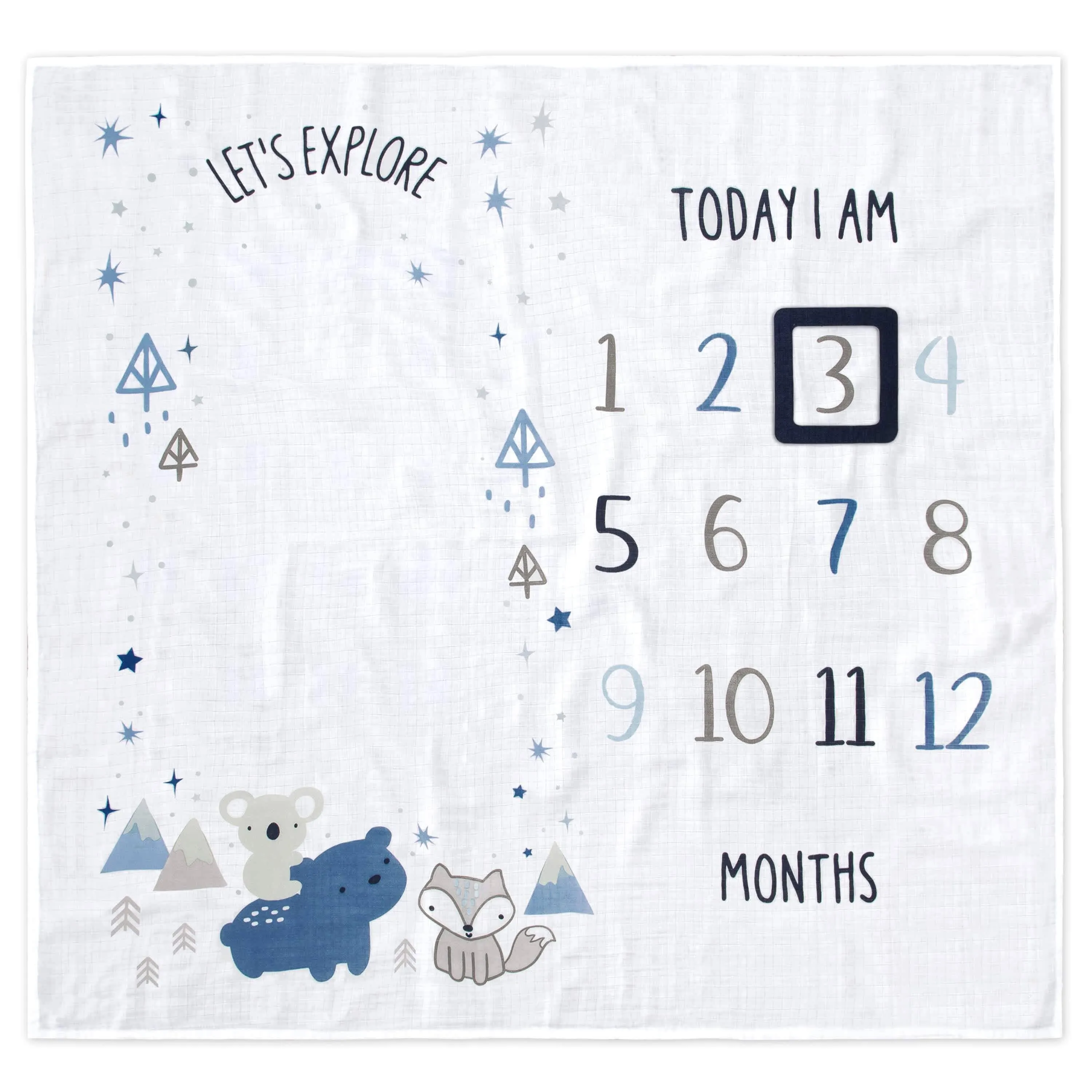 2-Piece Baby Boys Let's Explore Milestone Blanket Set