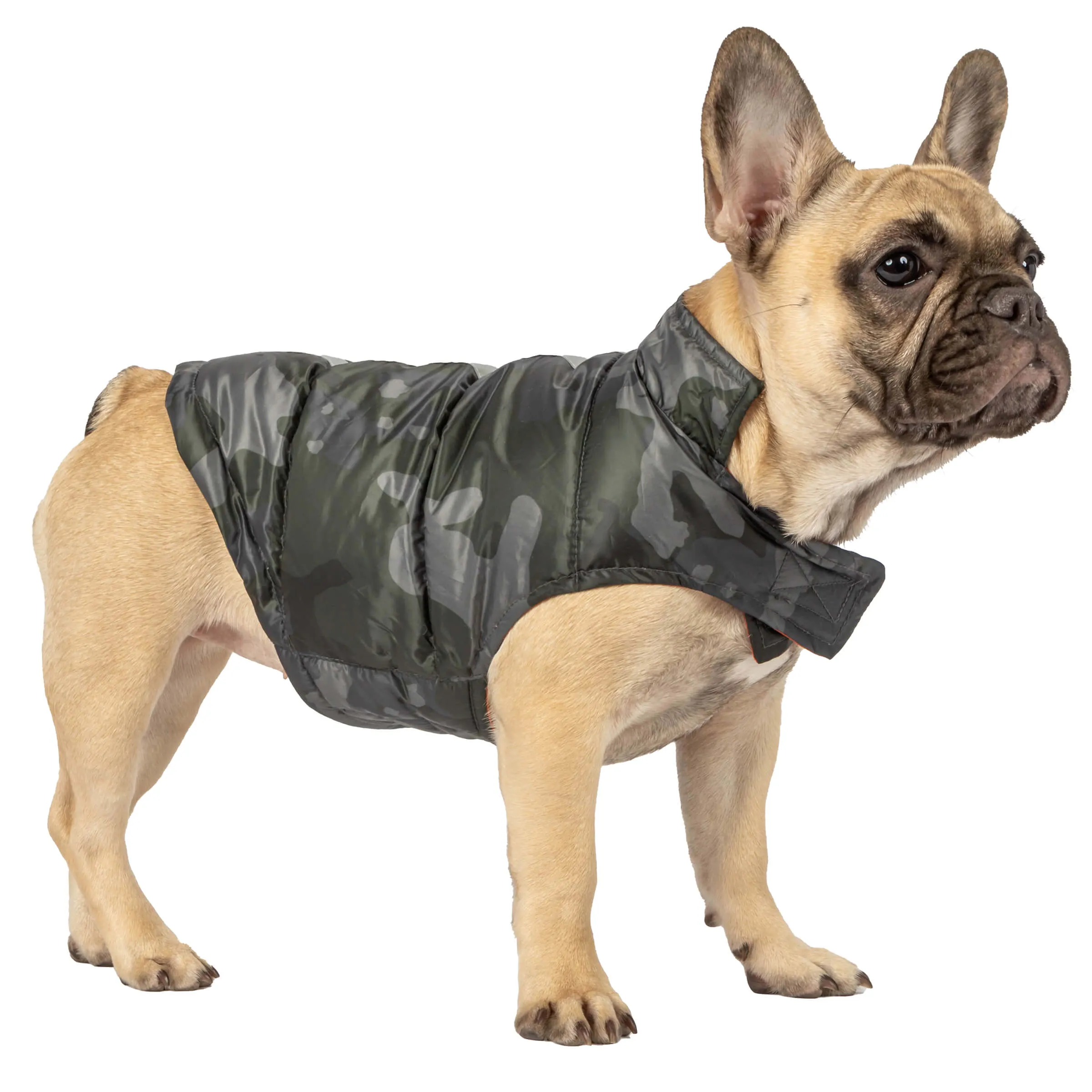 Dog Down Reversible Mock Jacket