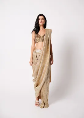 Shivi Blouse with Metallic 2.0 Sari